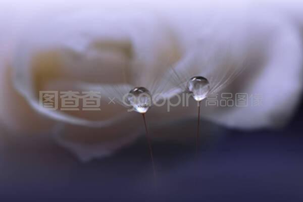 大自然包装机械